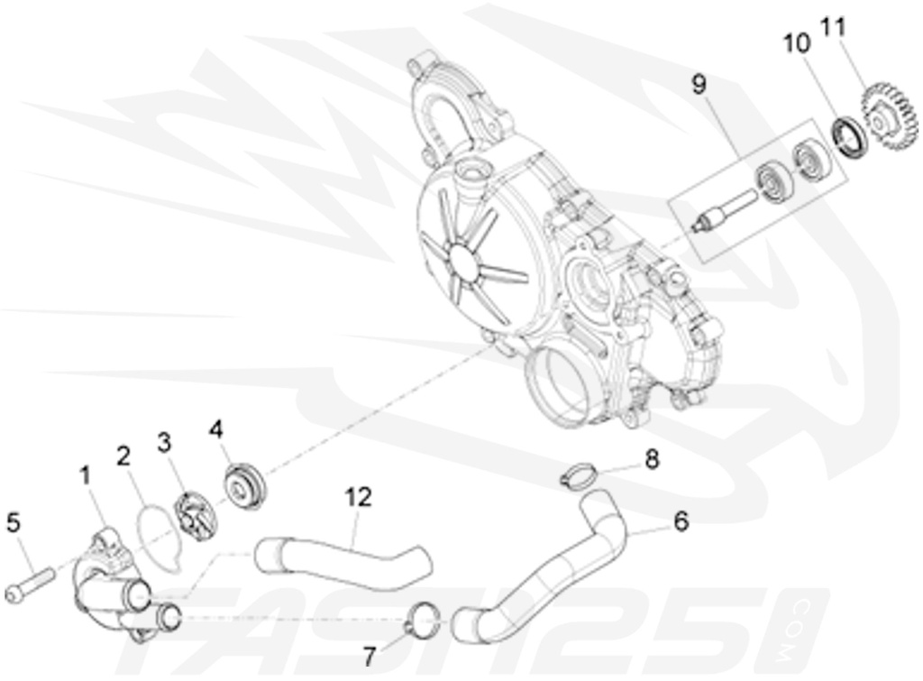 10 Water pump oil seal 125 Aprilia - 125 Orcal - 125 FB Mondial
