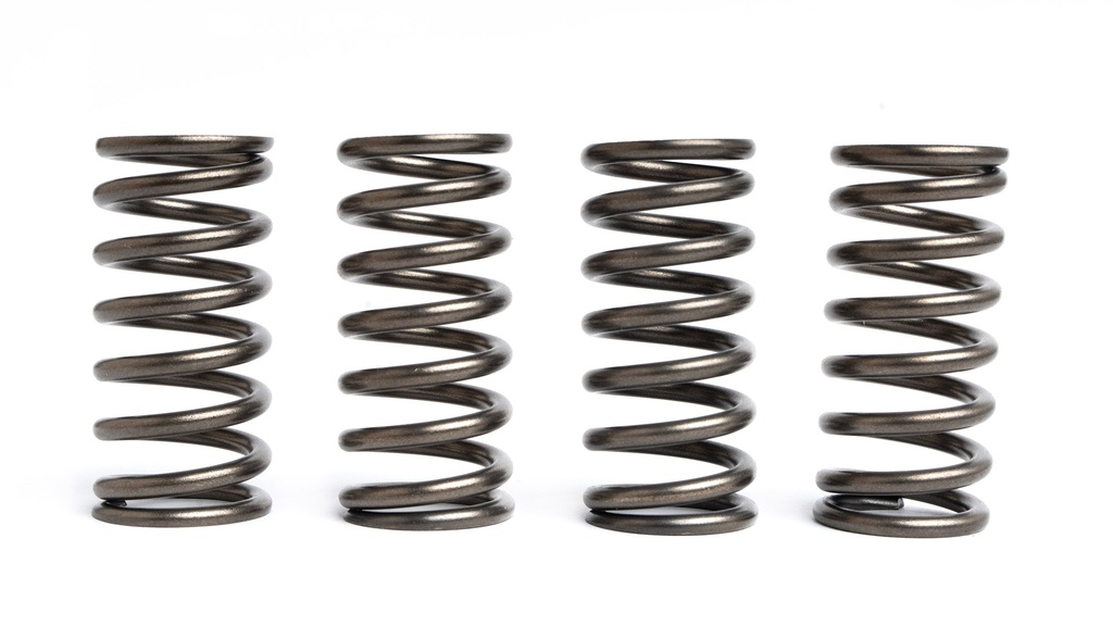 FST molas embreagem racing Honda CBR125 - CB125R