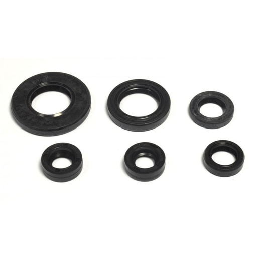 [P400485400157] Kit de selos espiões de motor Athena YBR 125 - TTR 125