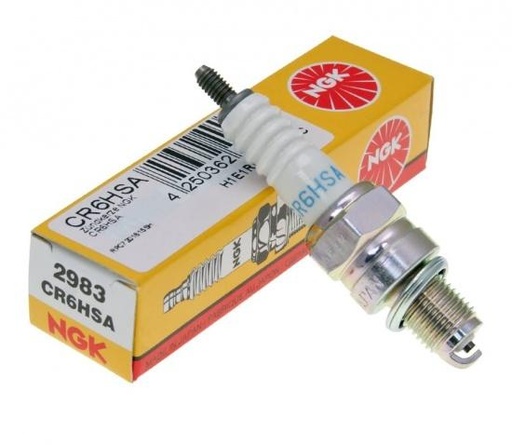 [2983] Spark plug NGK CR6HSA