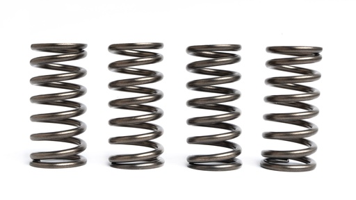 [FST10107_CSK193] FST spring clutch racing Honda CBR125 - CB125R