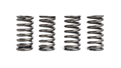 [FST10108_CSK199] FST ressorts embrayage racing KTM Duke 125 - RC125