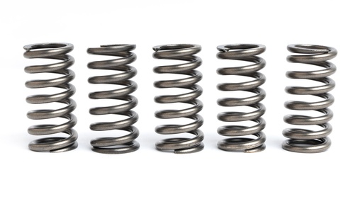 [FST10109_CSK245] FST molas embreagem racing GSXR125 - GSXS125